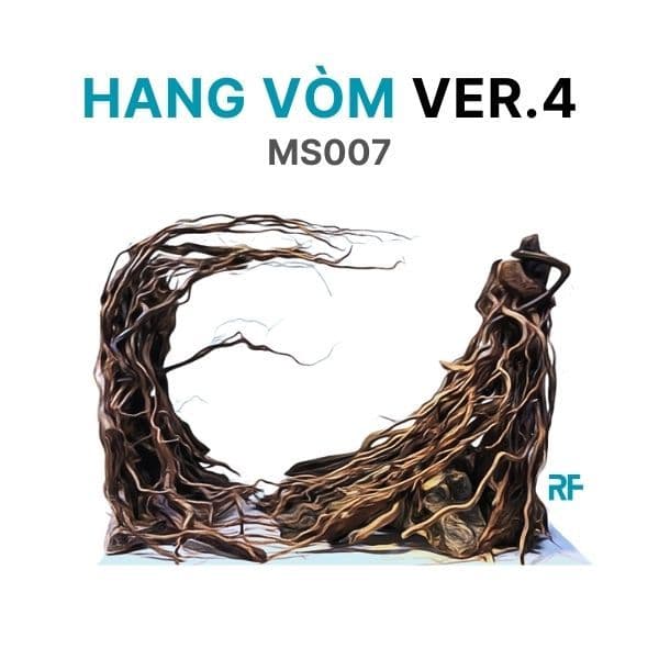 Hang Vòm ver.4 (Ms007)