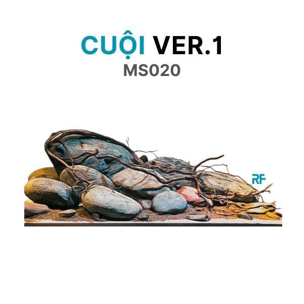Cuội ver.1 (Ms020)